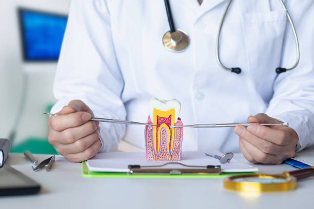 Best Emergency Treatment for Dental Infections or Abscesses in Westlake, OH